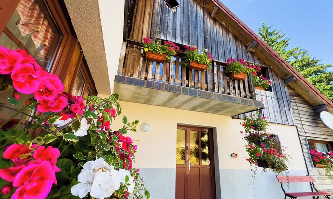 Arc-sous-Cicon House | Gîte l'Essentiel, farmhouse group accommodation with spa and sauna, playground