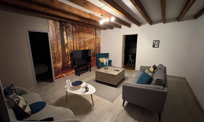 Graulhet Apartment | Gîte with swimming pool and pets