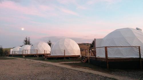 Toplita Other | Glamping 4 us