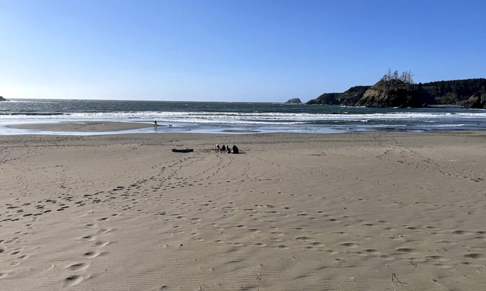 McKinleyville RV Rental | 🌲☀️Glamping in the Forest ☀️🌲 above the fog line