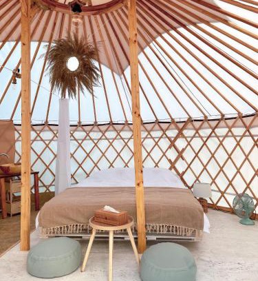 Vama Buzaului Other | Glamping Iurte Mongole Spiritul Zimbrului