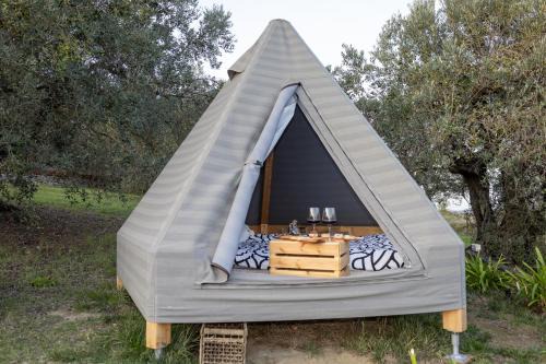 Collesalvetti Other | Glamping la lodola
