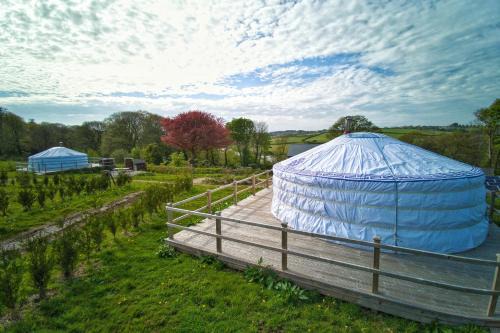 Newquay Other | Glamping Yurts near Newquay