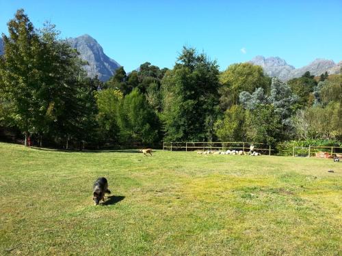 Cape Winelands House | Glasshouse In The Winelands