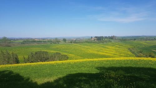 Siena House | Gli Ulivi di Siena 2