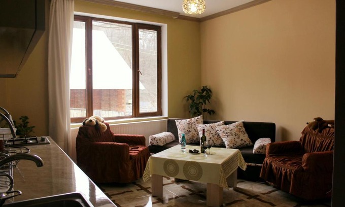 Borjomi Apartment | gogias tsikhe