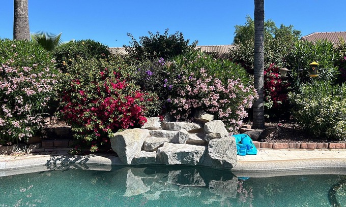 Gold Canyon House | Gold Canyon AZ Desert Paradise, Heated Private Pool/Spa, Mt Views, Golf/Hikingn