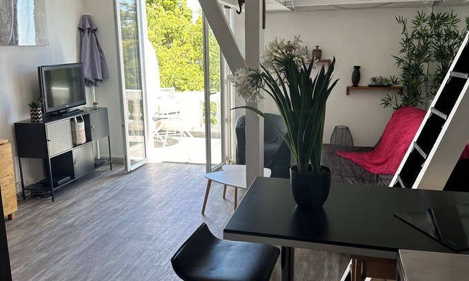 Golfe Juan Apartment | GOLFE JUAN charming STUDIO sea view and wooded park