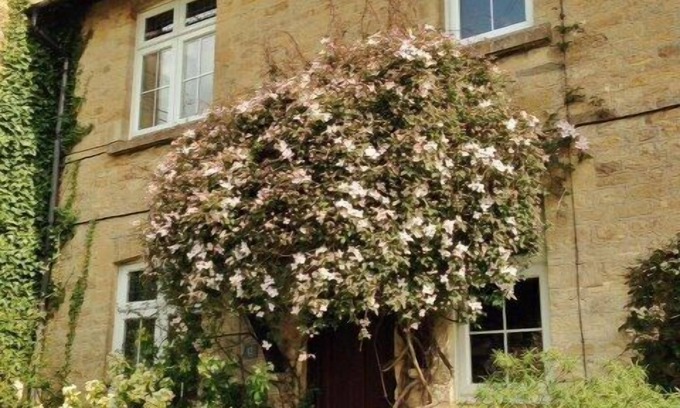 Gillingham House | Gorgeous 2 Bedroom Country Cottage With Lovely Garden Views & Great Location