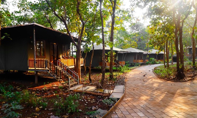 Vada Hotel | Govardhan Eco Village