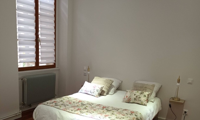 Quartier Saint-Leon Apartment | Grand Appartement au Charme Alsacien au Coeur de la Vieille Ville de Colmar