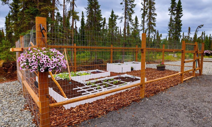 Kenai House | Grayling - Cabin #1