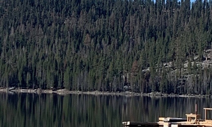 Huntington Lake Cabin | Great cabin walking distance to Huntington Lake