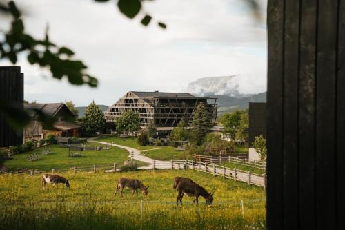 Nova Ponente Hotel | Green Luxury Hotel Pfösl