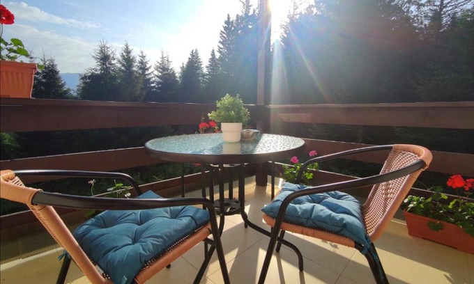 Cioplea Apartment | Green Studio