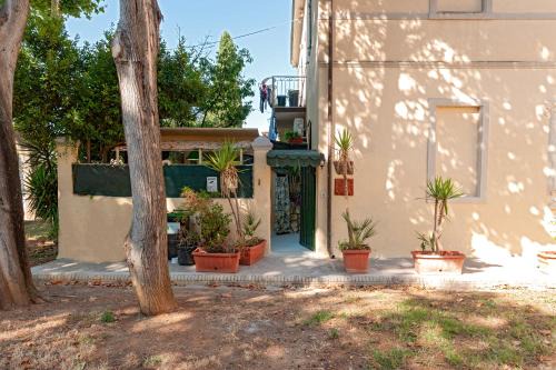 Vada House | Green Vacanze