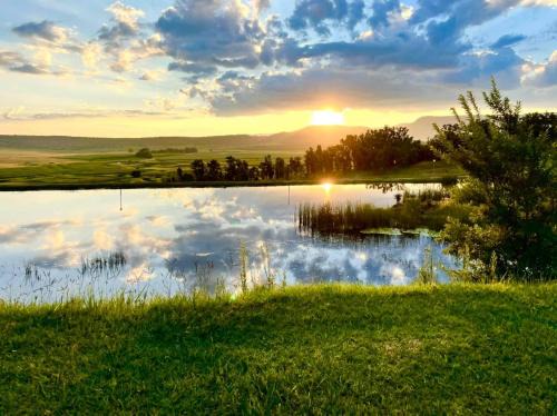 Newcastle Cabin | Grey Goose Game Lodge