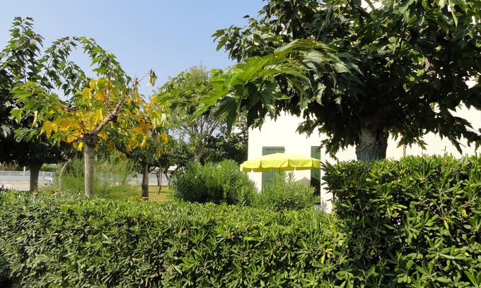 Le Barcares Apartment | GROUND FLOOR DIRECT ACCESS BEACH 'uncrowded' Gde Terrace