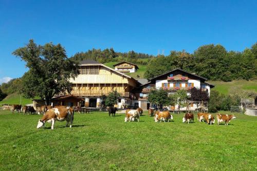 Castelrotto House | Gschtraffhof