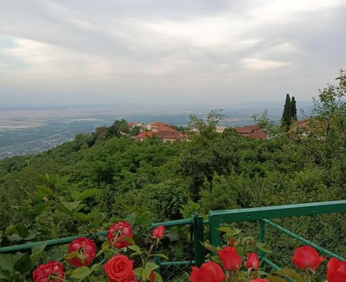 Sighnaghi House | Guesthouse Kiko