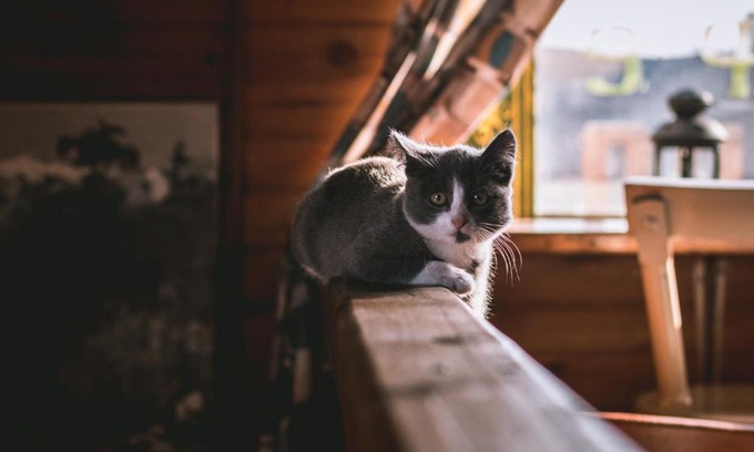 Khuzhir House | Guesthouse Voskresenie