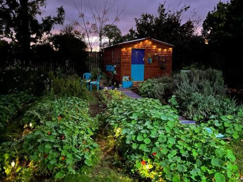 Greyton Apartment | Gypsy Mama in Greyton