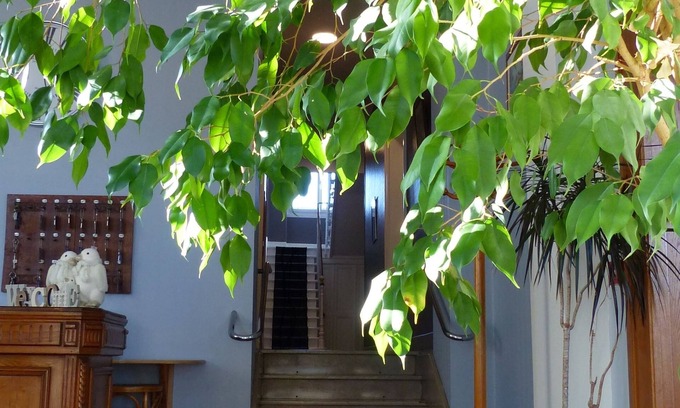 Toul Hotel | Hôtel de l'Europe