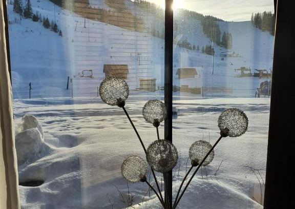 Hinterstoder Apartment | Höss-Alpin-Lodge