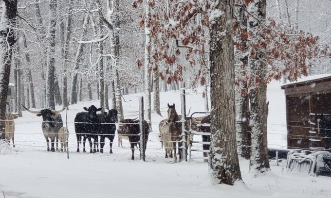 Richwoods RV Rental | Hagood farms and trails