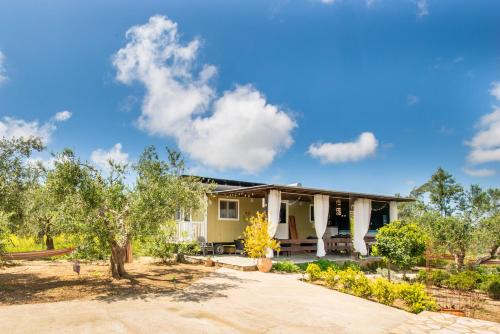 Pylos-Nestoras Cabin | Hakuna Matata Holidays Agalia with airco & pool in Greek Olive Grove