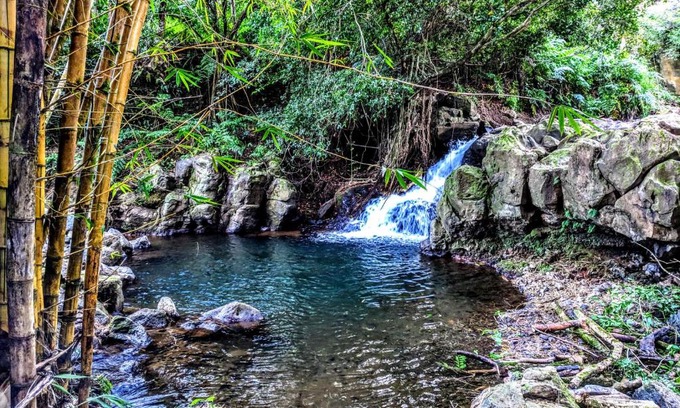 Pepeekeo House | Hamakua Guesthouse