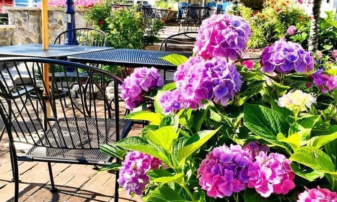 Put-in-Bay House | Harbour Square Suites
