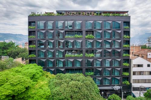Zona Rosa Hotel | Hashtag 98 Hotel By Jalo