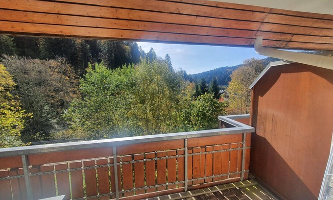 Todtmoos Apartment | Haus Herzogenhorn - Sunrise