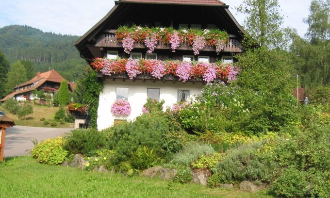 Gutach Apartment | Haus Schneider, Ferienwohnung Talblick