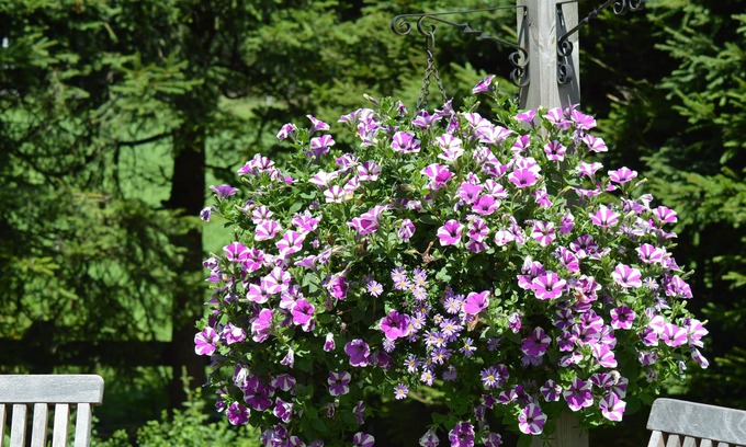 Radstadt House | Haus Susanne