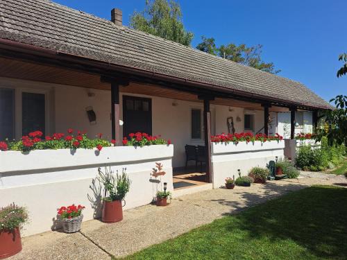 Apetlon Apartment | Haus Wegleitner
