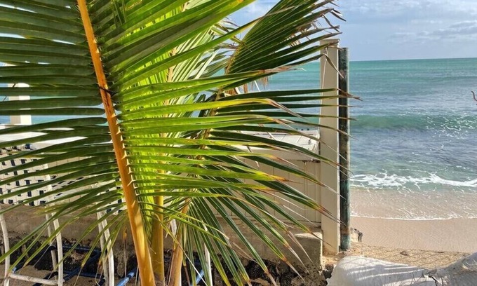 Ewa Cottage | Hawaiian style 3b, 1bath ,WiFi, Free parking.