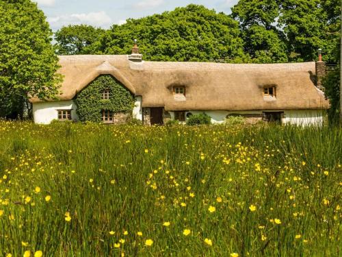Beaworthy House | Hay Meadow Farm, Cosy Thatched Holiday Cottage