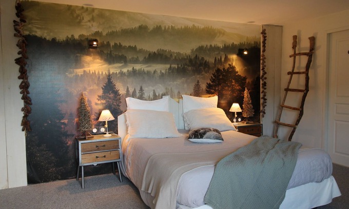 Saulxures-sur-Moselotte Bed & Breakfast | Head in the stars - Charming guest room (2 people)