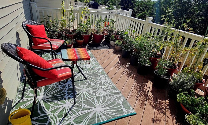 Bristow Apartment | Hello All, have a perfect place to stay.