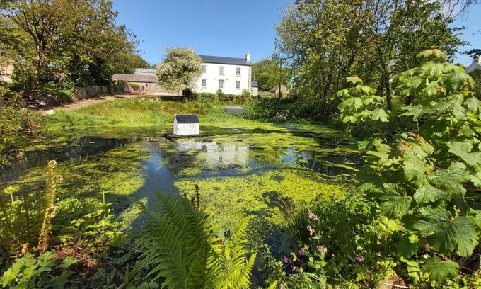 Castlemorris Bed & Breakfast | Hen Ffermdy