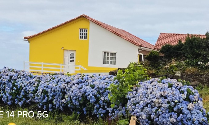 Santo Antao House | Herdade das Hortênsias