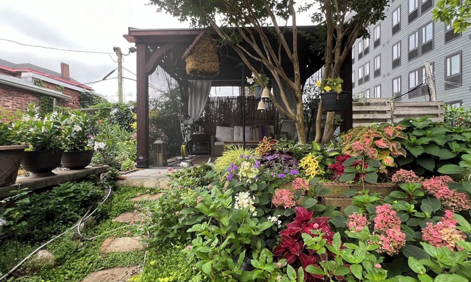 Spruce Hill House | Hidden Gem Townhome with 2 BRs -University City -near UPenn&Drexel