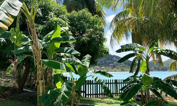 St. George's Apartment | Hideaway Apartments Grenada