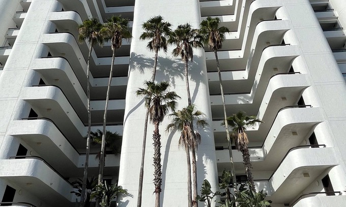 New Smyrna Beach Condo | High end complex in New Smyrna! Family friendly, directly on non-driving beach