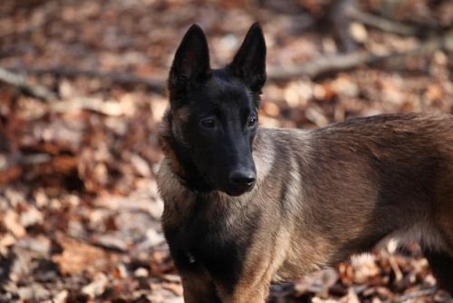 Equemauville Bed & Breakfast | Hill Cottage