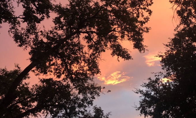 Austin Apartment | Hill country Studio, easy access to Downtown and Airport