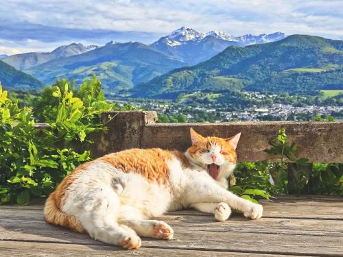 Bagneres-de-Bigorre Apartment | HiPyrenees - Top studio