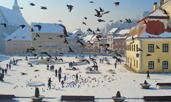 Brasov City Centre Apartment | History & Luxury Piata Sfatului